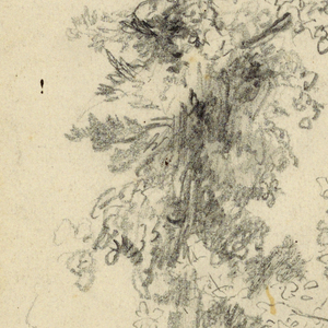 Drawing (USA)