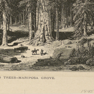Print (England and United States)