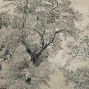 Drawing (USA)