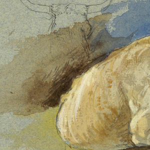 Drawing (USA)