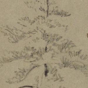 Drawing (USA)