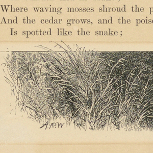 Print (England and United States)