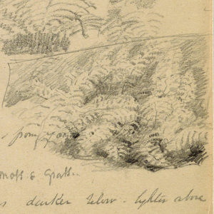 Drawing (USA)
