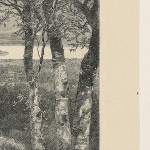 Print (England and United States)