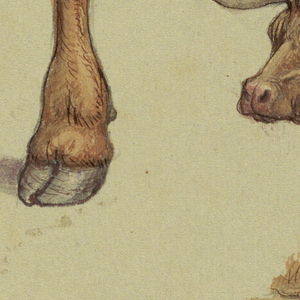 Drawing, Sketches from Narragensett, Rhode Island., 1871
