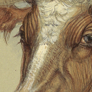 Drawing, Sketches from Narragansett, Rhode Island, 1871