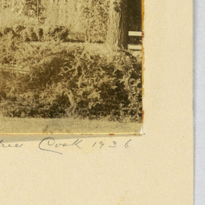 Photograph (USA)