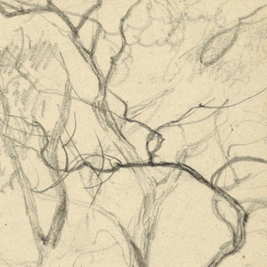 Drawing (USA)