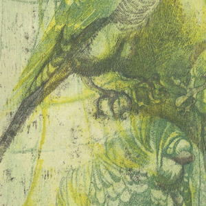 Etching, Three Parrots, 1956