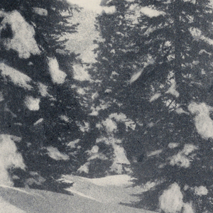Photograph (USA)