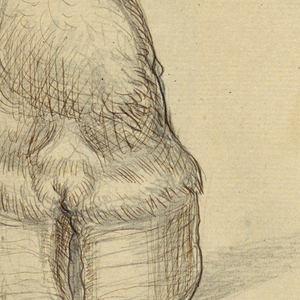 Drawing (USA)