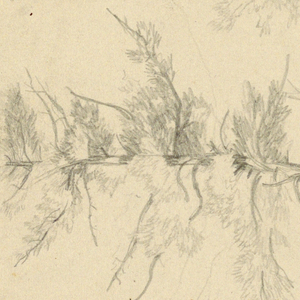 Drawing (USA)