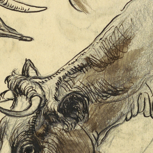Drawing, Sketches. Cattle, Irvington, September 1876