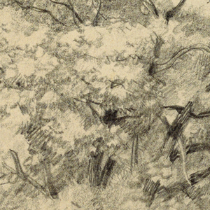 Drawing (USA)