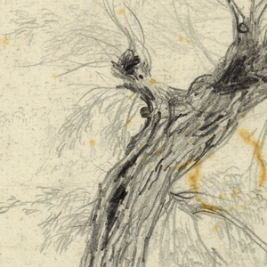 Drawing (USA)
