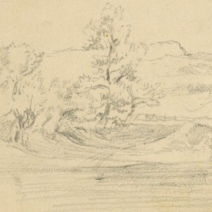 Drawing (USA)