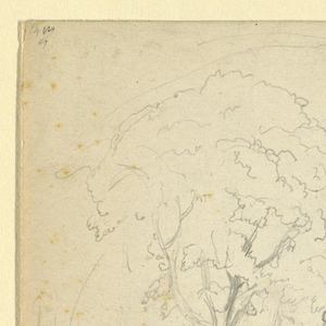 Drawing (USA)