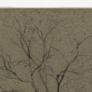 Drawing (USA)
