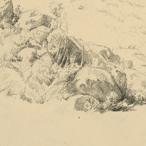 Drawing (USA)