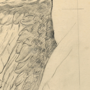 Drawing (USA)