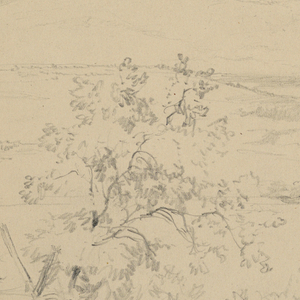 Drawing (USA)