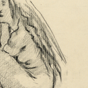 Drawing (USA)