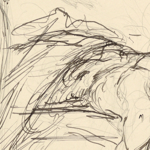 Drawing (USA)