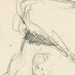 Drawing (USA)