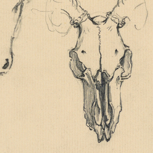 Drawing (USA)
