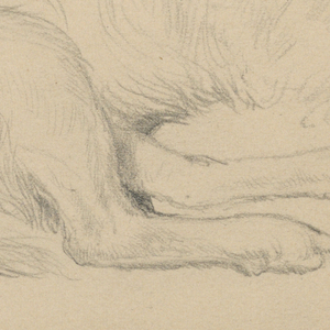 Drawing (USA)
