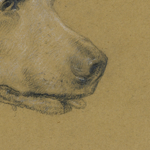 Drawing (USA)