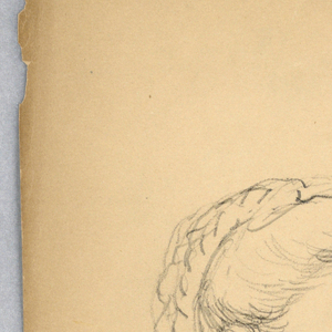 Drawing (USA)