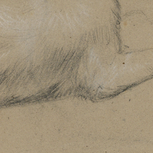 Drawing (USA)