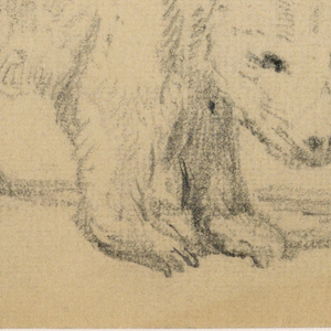 Drawing (USA)