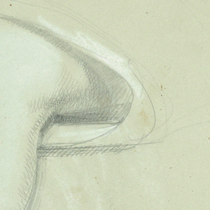 Drawing (USA)