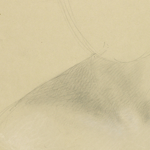 Drawing, Possibly of Mrs. Rutherfo, 1880