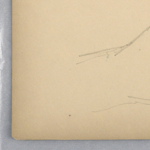 Drawing (USA)