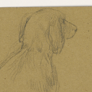 Drawing (USA)