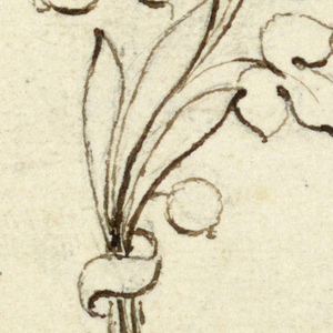 Drawing (Italy)