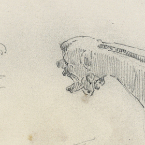 Drawing (USA)