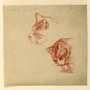 Drawing (USA)