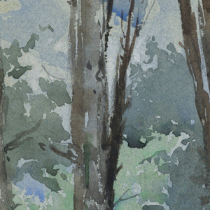 Drawing (USA)