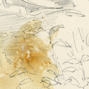Drawing (USA)
