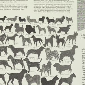 Poster, The Dog Store, 1972