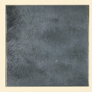 Printing Plate (USA)