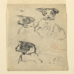 Drawing (USA)