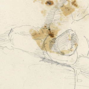 Drawing (USA)