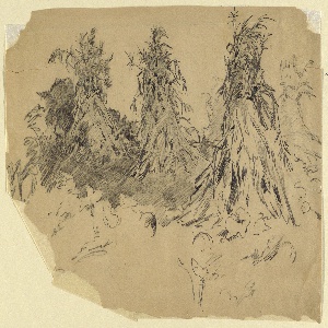 Drawing (USA)