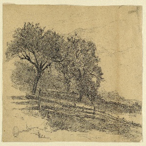 Drawing (USA)