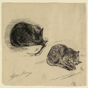 Drawing (USA)